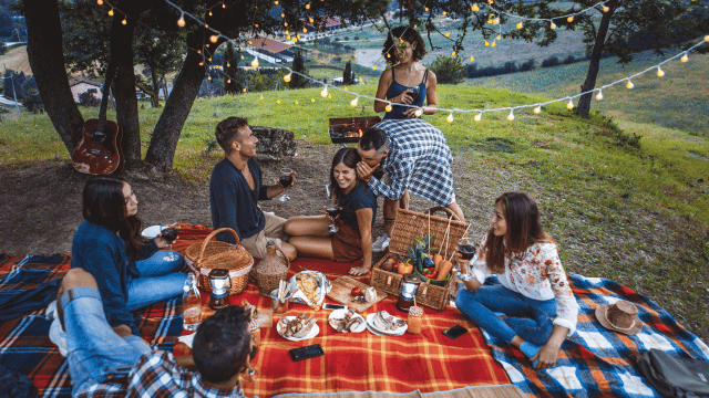 Freunde beim Picknick